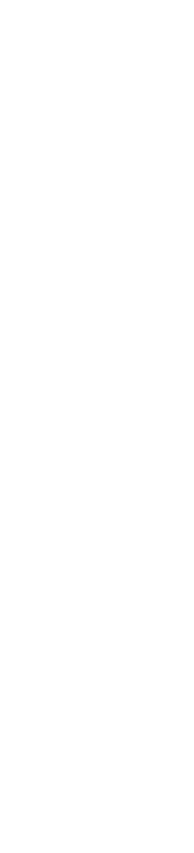 赏金国际