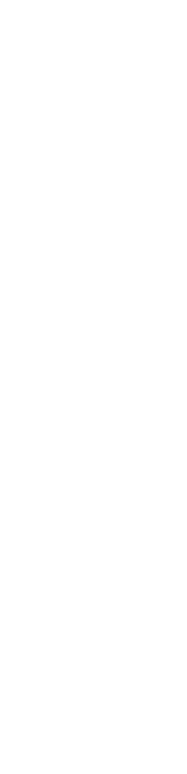 赏金国际